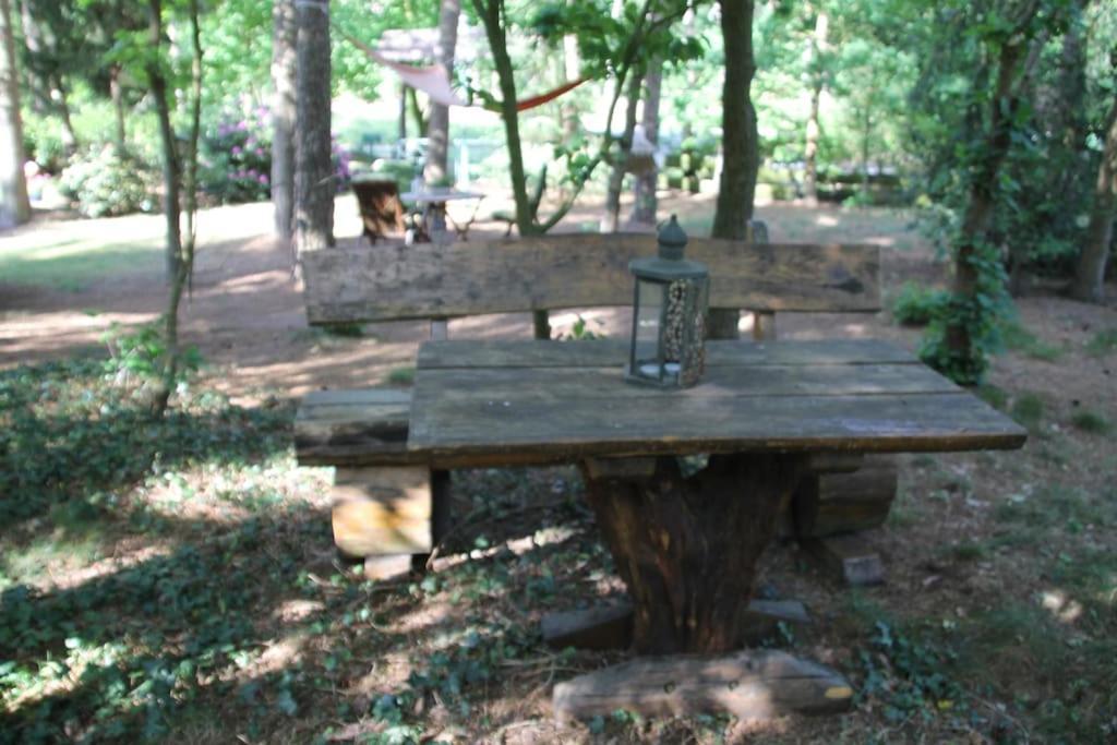Hatten Ferienhaus Am Waldesrand מראה חיצוני תמונה